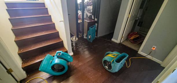 Best Basement water damage restoration  in Long Beach, WA