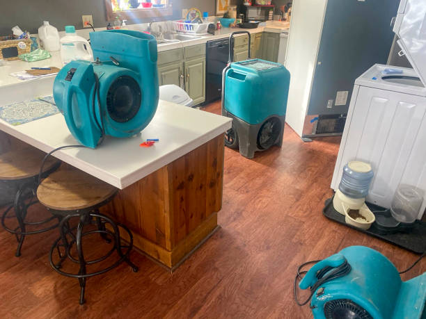 Best Water damage restoration services  in Long Beach, WA