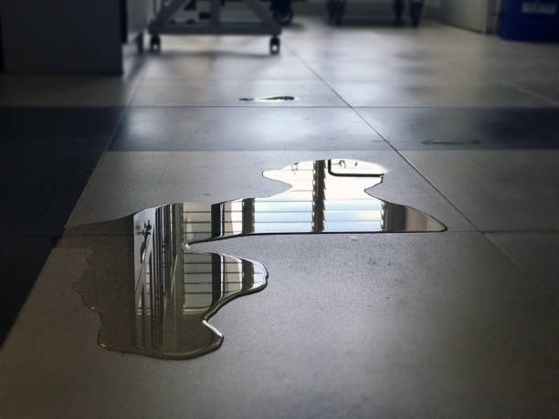 Best Water damage restoration near me  in Long Beach, WA