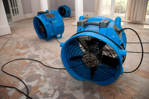 Best Emergency water damage restoration  in Long Beach, WA