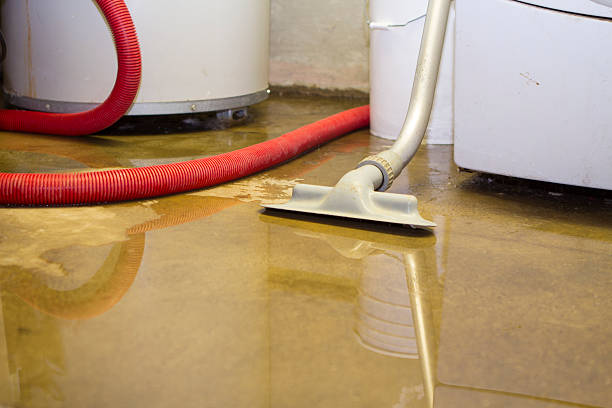 Best Sewage cleanup and water damage restoration  in Long Beach, WA