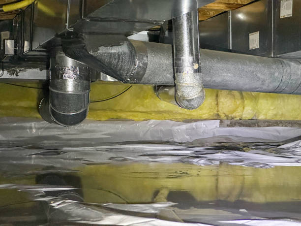 Best Water damage contractors near me  in Long Beach, WA