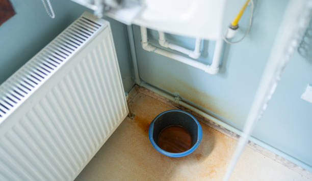 Best Carpet water damage restoration  in Long Beach, WA