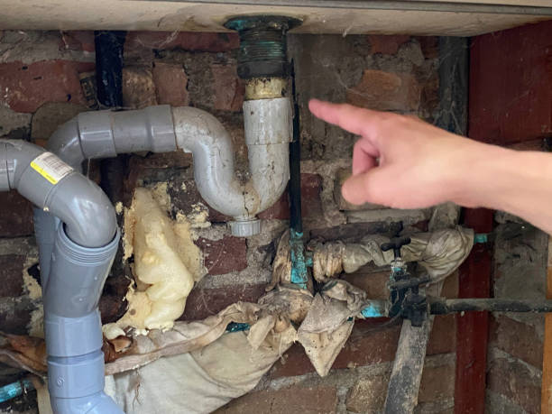 Best Water damage cleanup near me  in Long Beach, WA